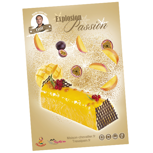 Graphisme, communication visuelle, - Stellae Studio Estelle Penhirin