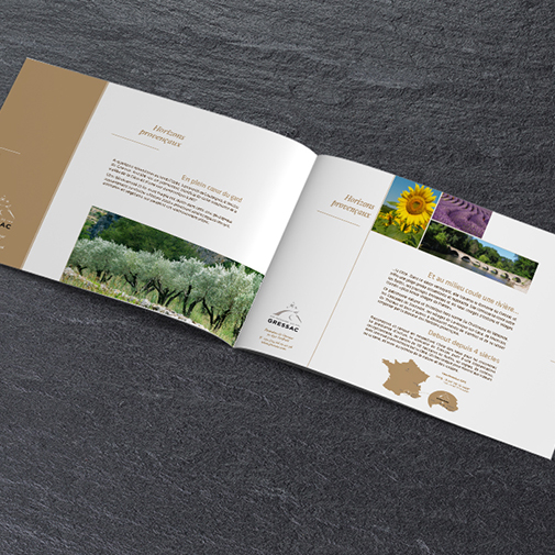 Dossier de presse- conception graphique