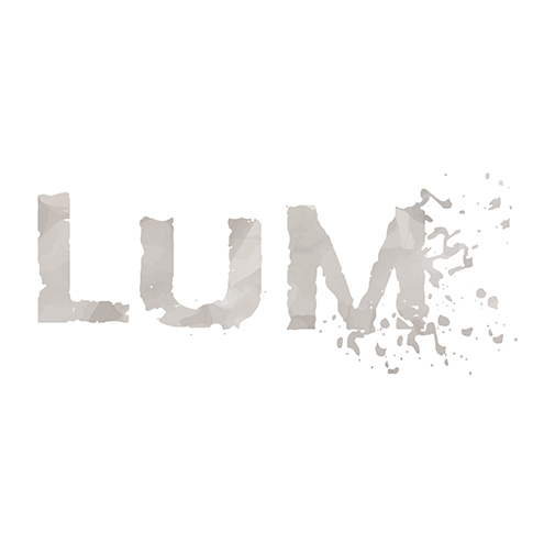 LUM Conception Identité Visuelle